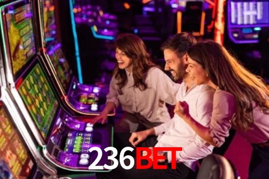 236bet feedback — categorias de sugestão e melhoria no app